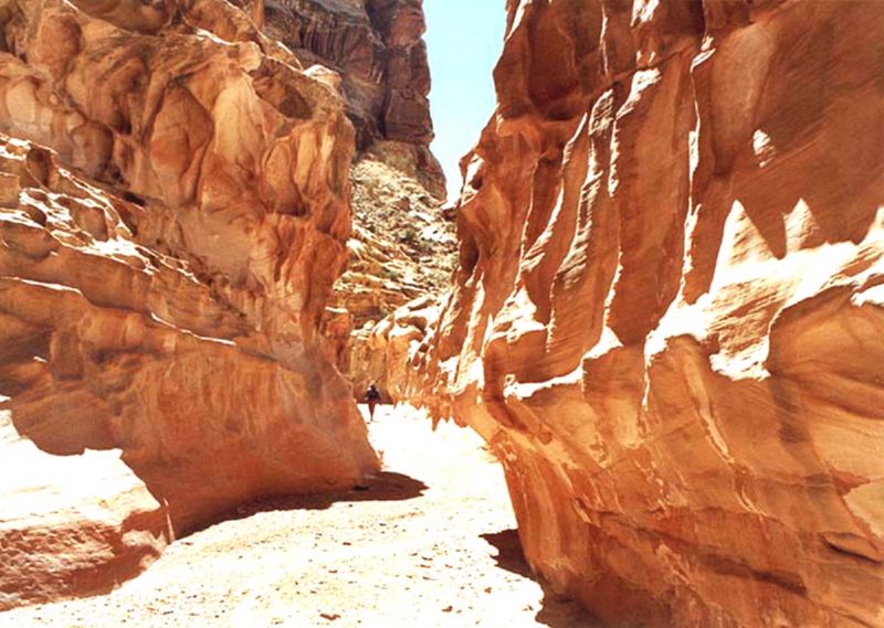 04160302LittleWildHorse (1083)